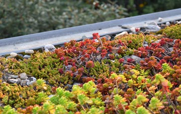 the cost of Besford green roof installation